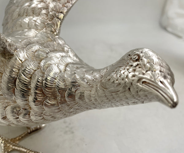 Pair of Continental Silver Pheasants from 19th or Early 20th Century
