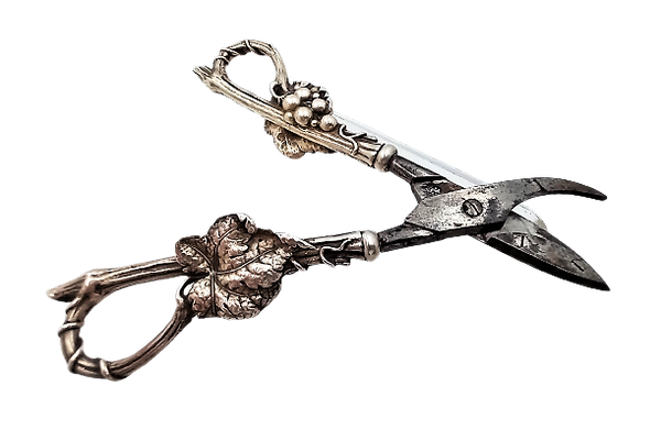 Whiting Sterling Silver Grape Shears in Aesthetic Art Nouveau Vine Pattern